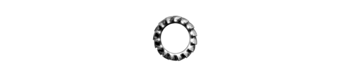 RONDELLE DENTELLATE INOX