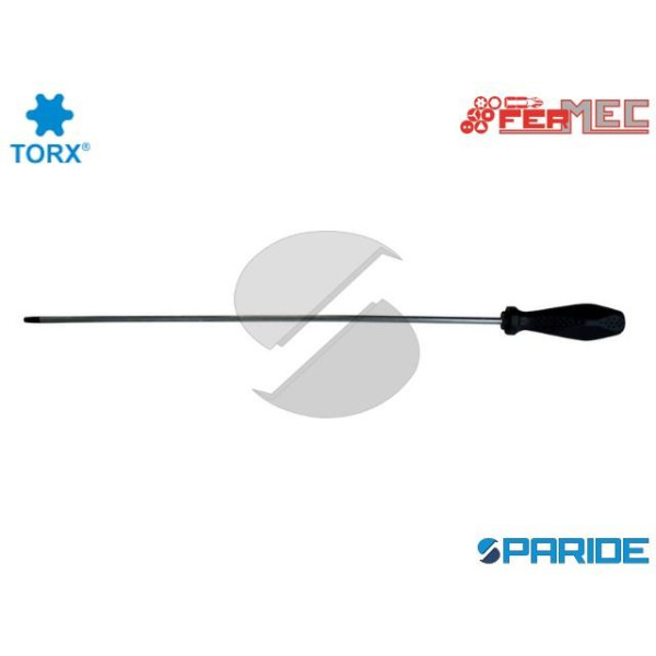 CACCIAVITE TORX EXTRA LUNGO TX 15 L 300 FERMEC