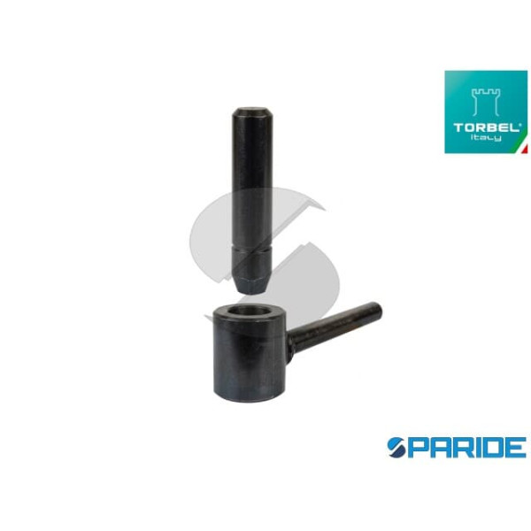CARDINE A CLIPS M12X90 T12
