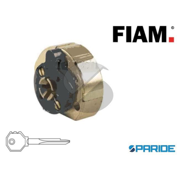 CILINDRO A SPILLO PRAZIS CROCE SERIE 70P FIAM D 25...