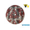 DISCO MULTIMATCH D 150 MM P60 5500 SIASTYLE SIAFAST SIA ABRASIVES 59 FORI
