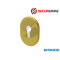 KIT PIASTRINA FORO CILINDRO 4302KOL OTTONE LUCIDO SECUREMME