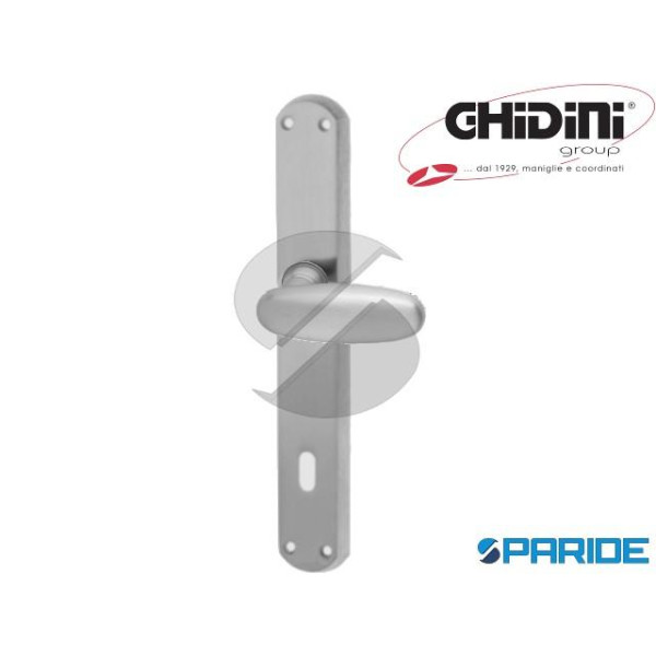 MANIGLIA SILVIA Q8 P90 PLACCA PATENT OCS 554340890...