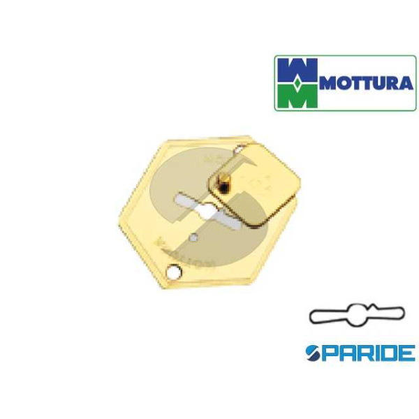 MOSTRINA COPRIFORO 95224000C1 OTTONE MOTTURA DOPPI...
