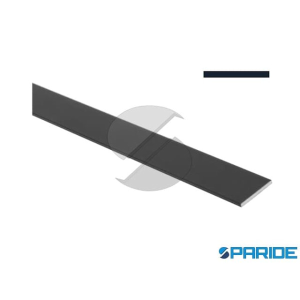 PROFILO PIATTO IN ALLUMINIO 100X2 L 2 MT NERO