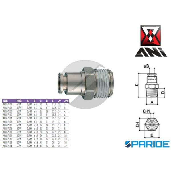 RACCORDO DRITTO 1\8 MASCHIO D 6 MM 50\A AH037102 A...