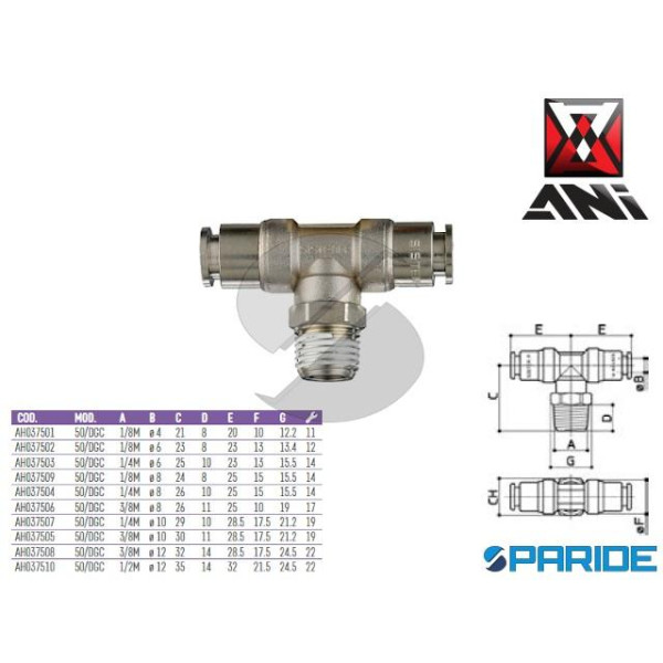 RACCORDO GIREVOLE A T 1\8 MASCHIO D 8 MM 50\DGC AH...