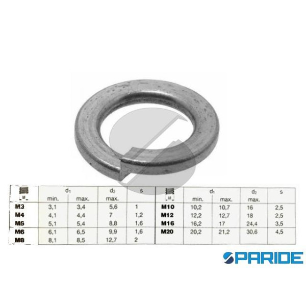RONDELLA GROWER INOX M8 DIN 127 UNI 1751 FORMA B