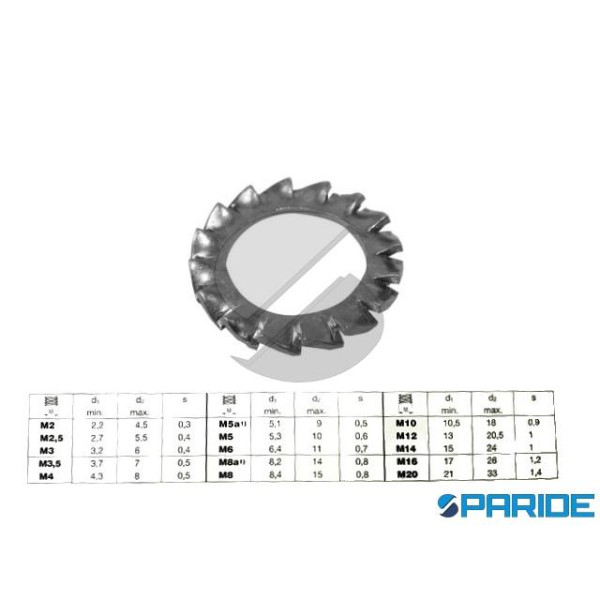 RONDELLA INOX DENTELLATA M4 DIN 6798 UNI 8842 FORM...