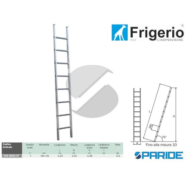 SCALA DRITTA IN ALLUMINIO 680N\07 7 GRADINI 150 KG...