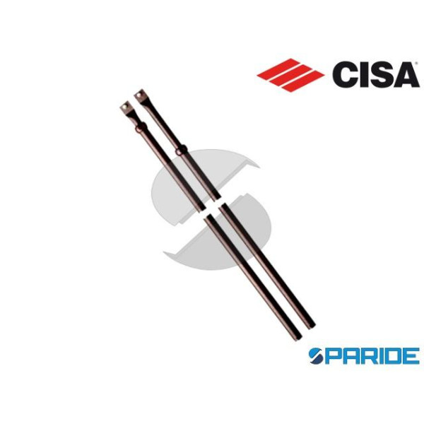 SERIE ASTE COMPLEMENTARI 06425 07 CISA TRIPLICE CH...