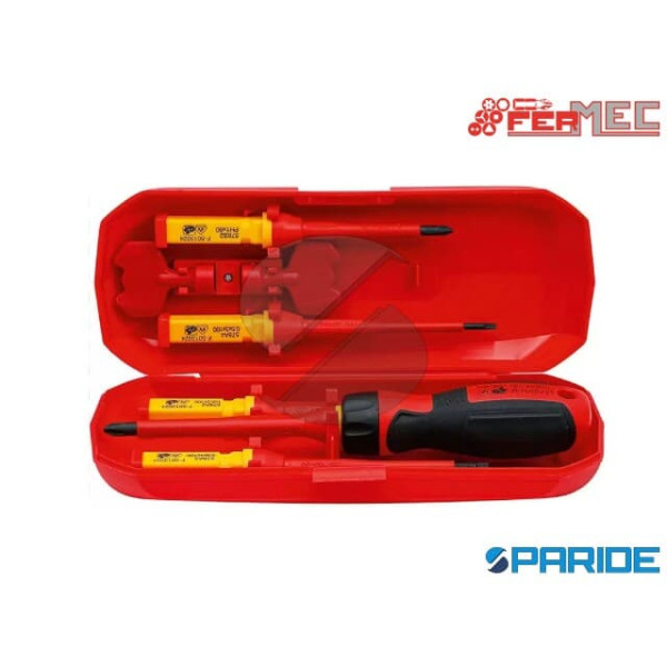 SET CACCIAVITI ISOLATI VDE BGS35813 FERMEC CON LAM...