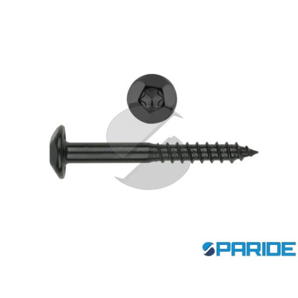 VITE ANTIMANOMISSIONE TC NERA 6X70 MM TX40