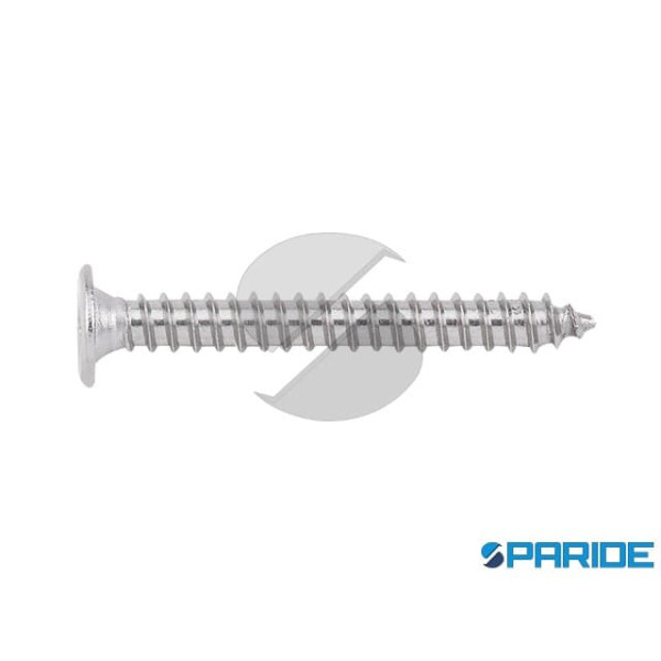 VITE AUTOFILETTANTE TPS EXTRA PIATTA 4,2X22 MM PH2...