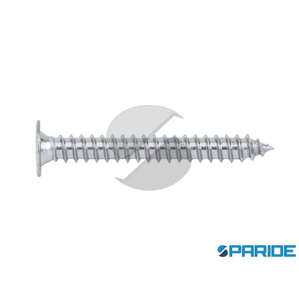 VITE AUTOFILETTANTE TPS EXTRA PIATTA 4,2X22 MM PH2...