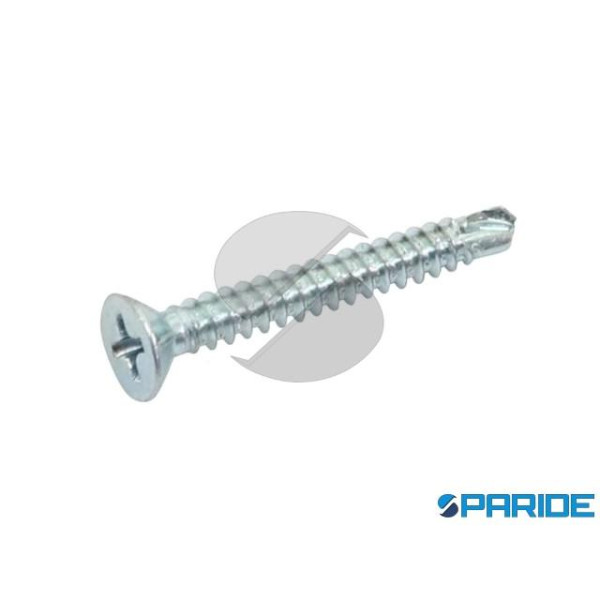 VITE AUTOPERFORANTE TPS 3,9X19 MM CROCE ZINCATA DI...