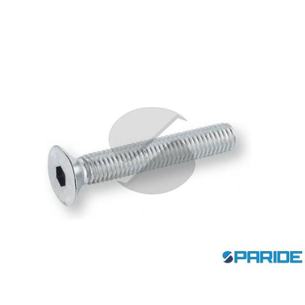VITE INOX TPSEI 12X35 MM DIN 7991 ISO 10642 UNI 59...
