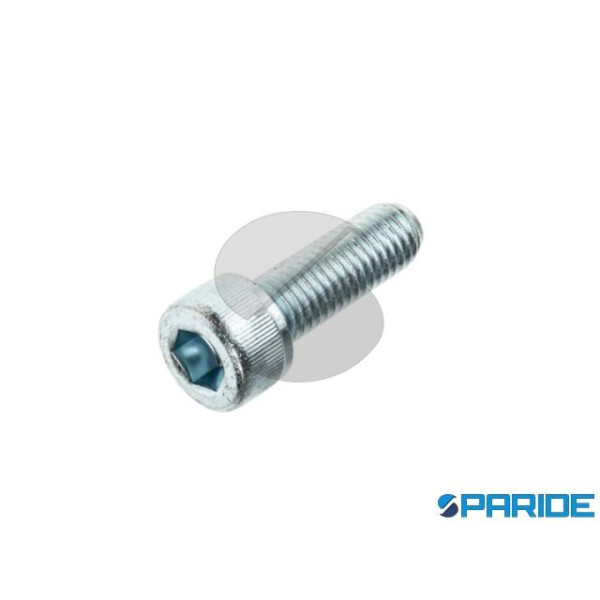 VITE TCEI ZINCATA 8.8 3X50 MM DIN 912 ISO 4762 UNI...