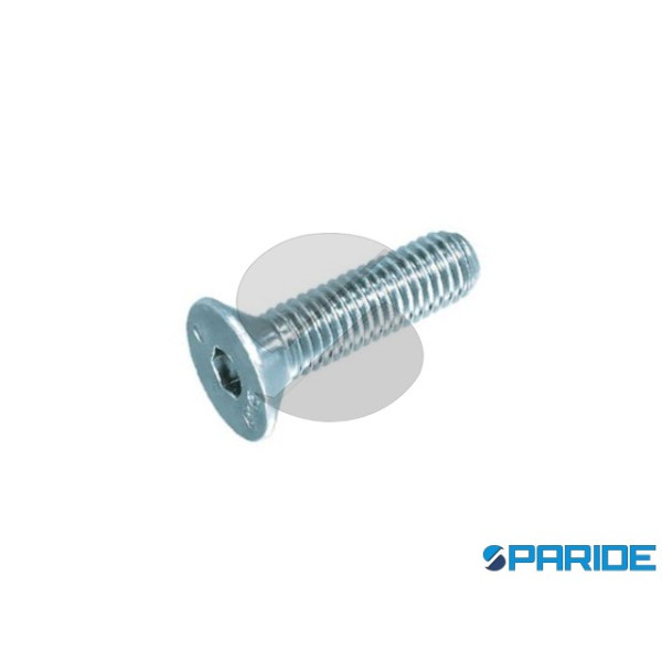 VITE TPSEI ZINCATA 10.9 10X70 MM DIN 7991 ISO 1064...